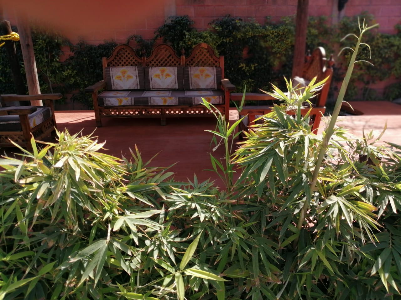 Casa Color Bugambilias